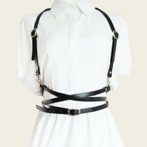 Harness buckle belt
